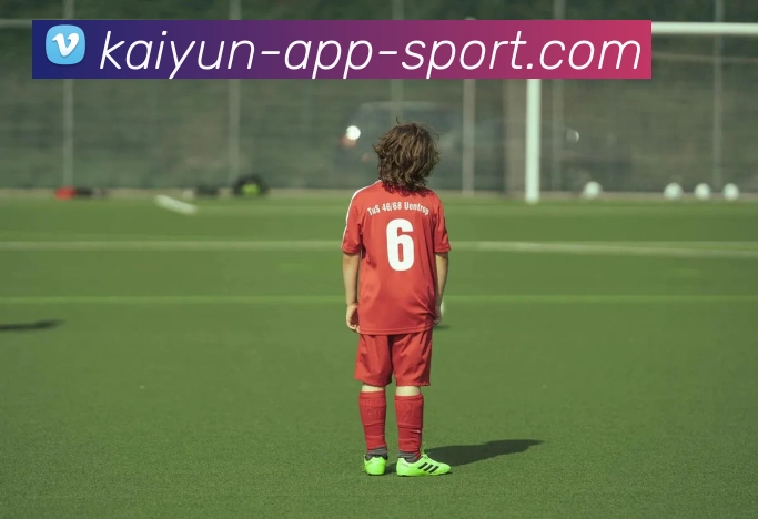 开云体育平台生态图