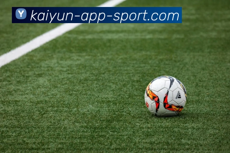 开云体育APP 封面图